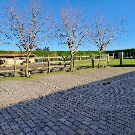 B&B 'T Hannonshof Nieuwpoort Εξωτερικό φωτογραφία