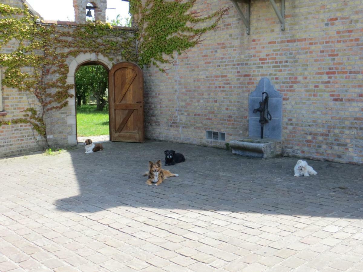B&B 'T Hannonshof Nieuwpoort Εξωτερικό φωτογραφία
